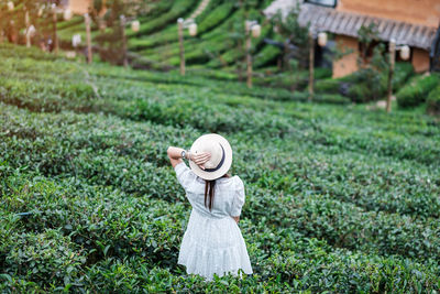 Rear view of woman wearing hat standing on farm