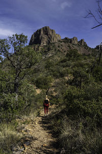 Hiking big bend national park