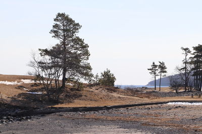 Trees on landscape against clear sky