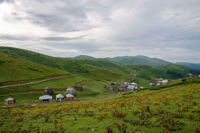 Scenic view of agricultural field against sky