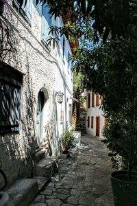 Walkway leading to building