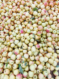 Full frame shot of fruits for sale at market