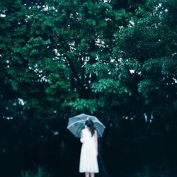 Woman standing on tree trunk