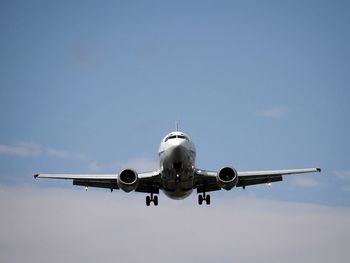 Low angle view of trees against sky