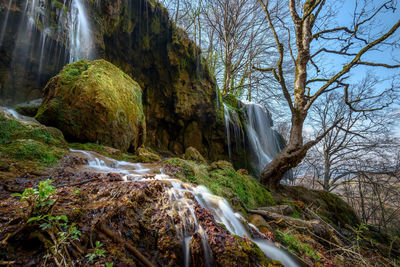 Scenic view of waterfall in forest