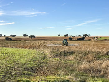 Scenic view of agricultural field against sky