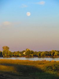 Scenic view of lake against clear sky