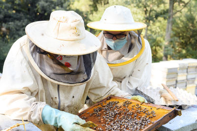 Low angle view of bee on hat