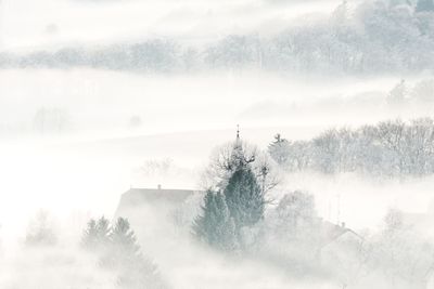 Trees on snow covered land against sky