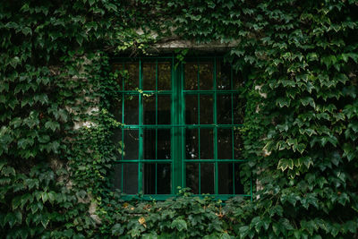 Closed door of building