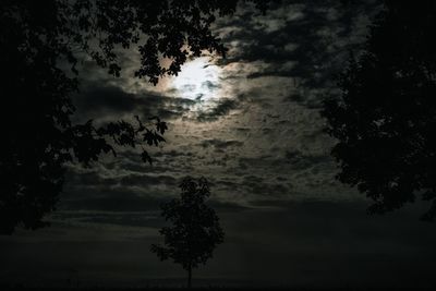 Low angle view of silhouette trees against sky at dusk