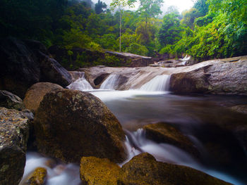 Scenic view of waterfall in forest