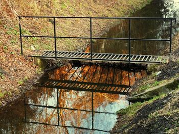 Bridge over river in forest