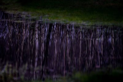 Scenic view of water