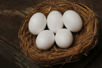 High angle view of eggs in nest