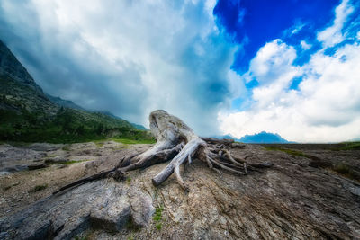 Scenic view of mountain against sky