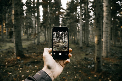 Cropped hand photographing trees through mobile phone in forest