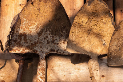 Close-up of old bread