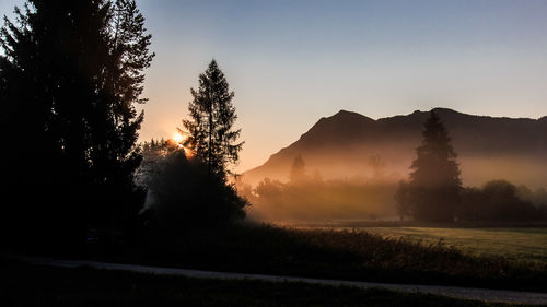 Trees on landscape against clear sky during sunset