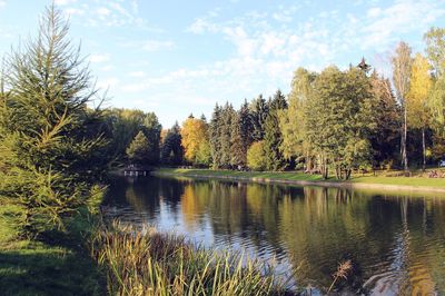 Scenic view of river and trees against sky