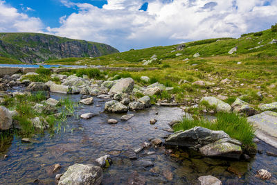 Scenic view of river flowing by land against cloudy sky