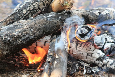 Close-up of fire on log