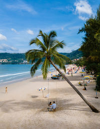 Palm trees on beach against sky