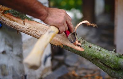 Close-up of man holding food on wood