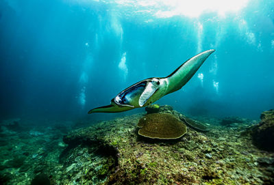 underwater