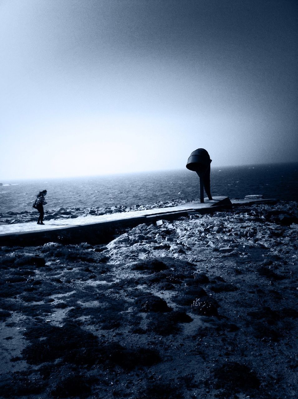 sea, water, horizon over water, copy space, clear sky, tranquil scene, full length, scenics, tranquility, waterfront, silhouette, nature, beauty in nature, beach, men, bird, wave, sky