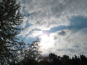 Low angle view of trees against cloudy sky