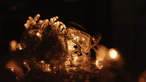 Close-up of illuminated christmas lights