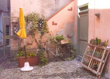 Potted plants on table outside building in city