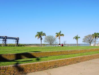 View of palm trees on field against clear blue sky