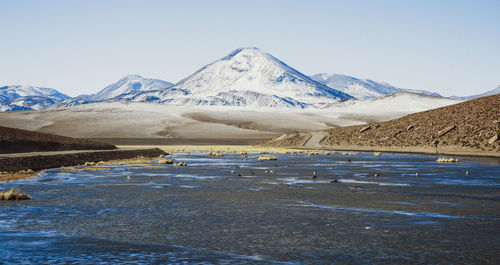 Highland lagoons next to geysers of "el tatio" at sunrise