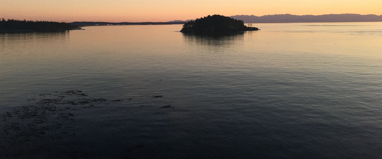 water, reflection, sunset, nature, beauty in nature, silhouette, scenics, waterfront, sky, no people, tranquility, outdoors, tree, day