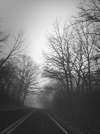 Road passing through bare trees