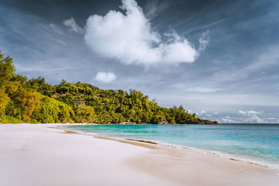 Scenic view of beach against sky