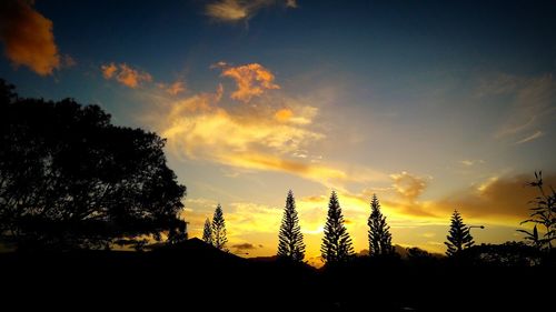 Silhouette of trees at sunset