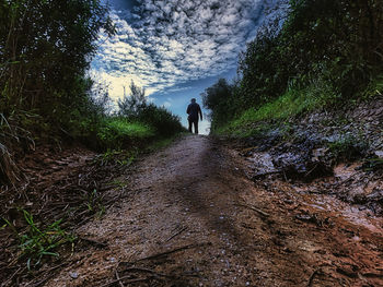 Rear view of man walking on footpath in forest