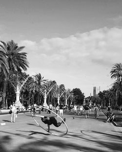 People on palm trees in city against sky