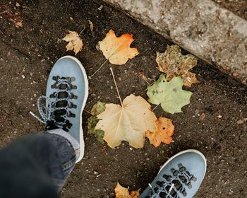 Low section of person on leaves during autumn