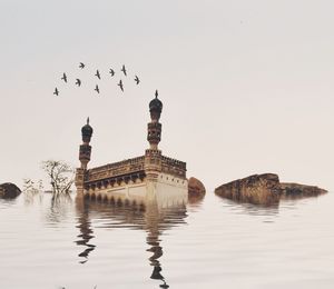 Reflection of trees in water