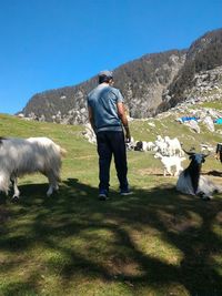 Rear view of man on mountains