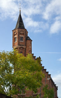 Low angle view of trees and building against sky