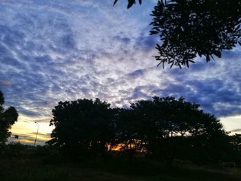 Low angle view of silhouette trees against sky at sunset