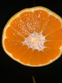 Close-up of orange slices