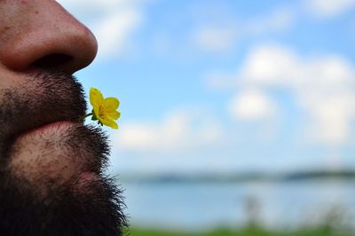 Cropped image of man with flower in mouth