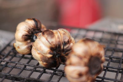 Close-up of insect on table