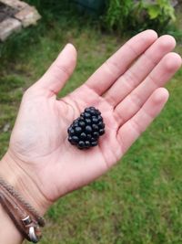 Close-up of hand holding fruit